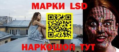 прущие грибы Донской