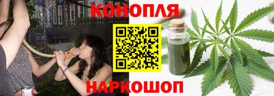 прущие грибы Донской