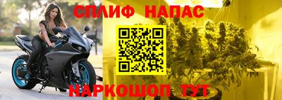 прущие грибы Донской