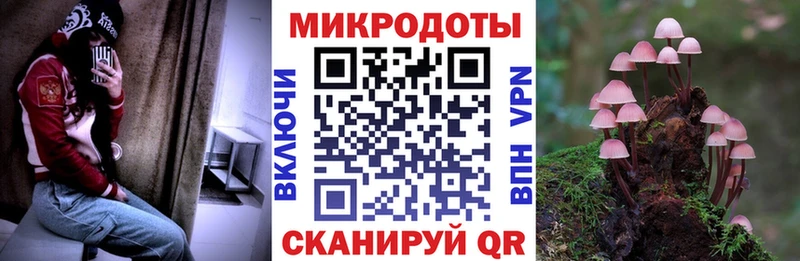как найти закладки  Нижнекамск  Галлюциногенные грибы MAGIC MUSHROOMS 