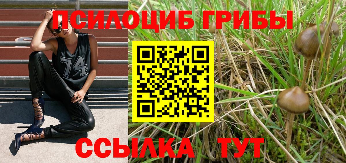 Галлюциногенные грибы Psilocybe  Галлюциногенные грибы Magic Shrooms  Вход с VPN  закладка  Нижнекамск 