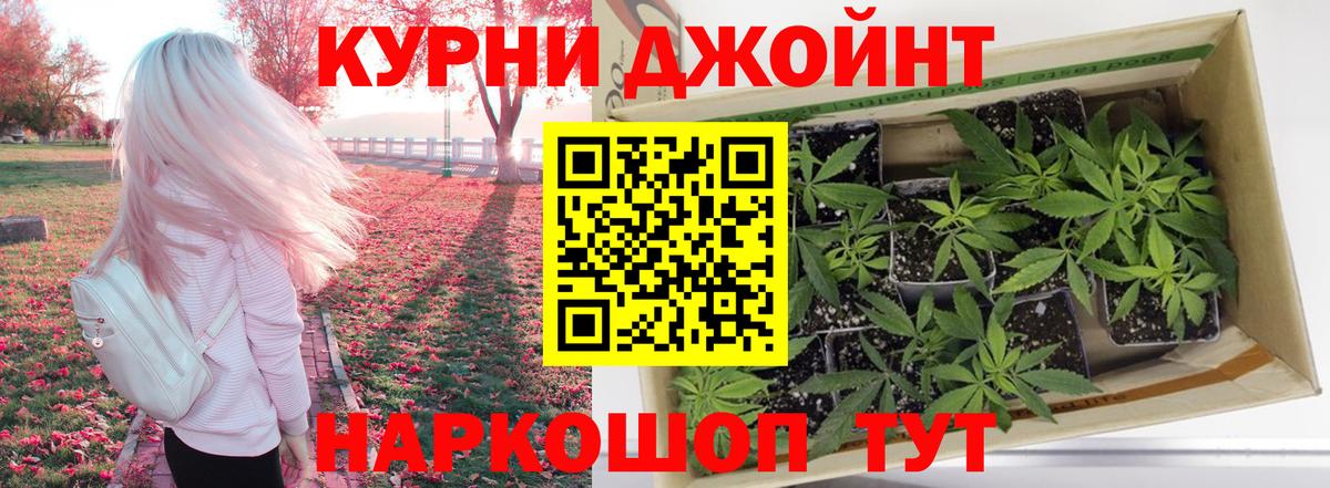 Марихуана планчик  МАРИХУАНА сатива  Каннабис Ganja  Нижнекамск  Вход с VPN 